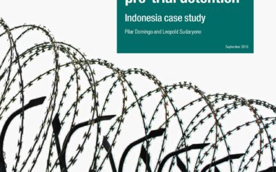 The Political Economy of Pre-trial Detention